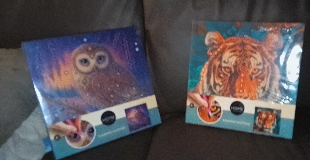 2 splinternieuwe diamant paintings, Enlèvement