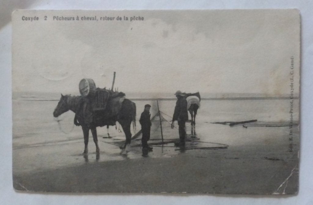 COXYDE 1913 COXYDE PECHEURS A CHEVAL, RETOUR DE LA PECHE, Enlèvement ou Envoi, Avant 1920, Affranchie, Flandre Occidentale