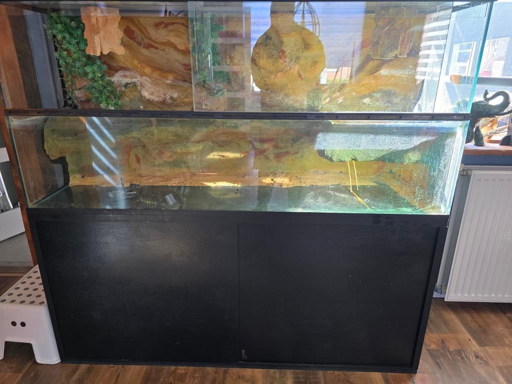 Groot terrarium gratis, Dieren en Toebehoren, Ophalen