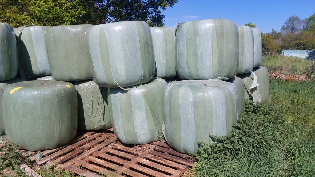 Midi balen hooi gereserveerd, Dieren en Toebehoren, Ophalen