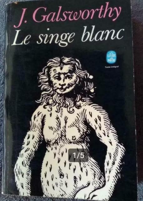 „De witte aap” J. Galsworthy (1971), Gelezen, Europa overig, Ophalen of Verzenden, J. Galsworthy