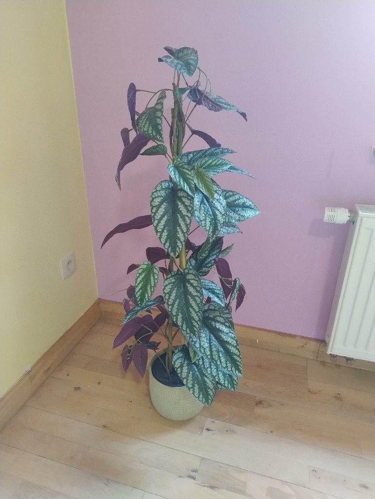 Valse plant met bloempot, Ophalen