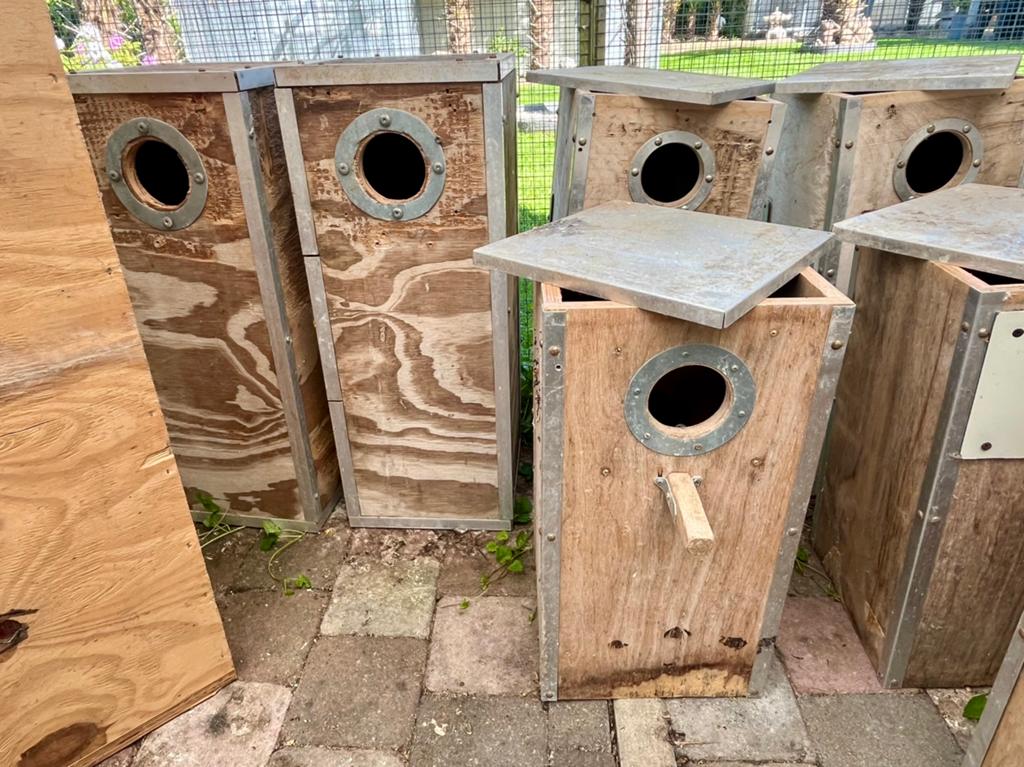 15 Broedblokken te koop, Dieren en Toebehoren, Ophalen, Zo goed als nieuw