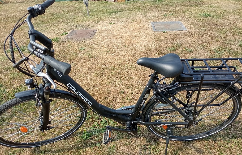 Vélo électrique sans batterie, Enlèvement, Utilisé, Autres marques