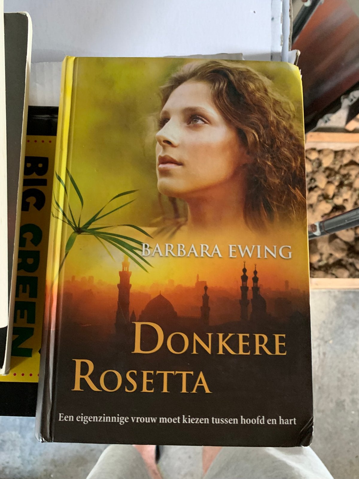 B. Ewing - Donkere Rosetta, Ophalen of Verzenden, B. Ewing
