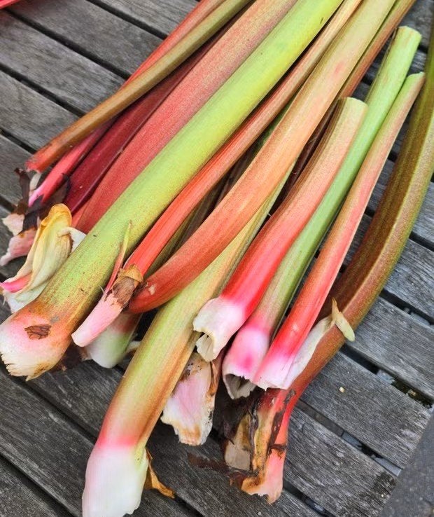 Rhubarbe fraîche à vendre, Articles professionnels, Enlèvement
