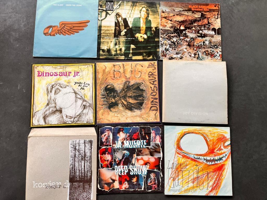 Vinyl jaren 90 - rock/alternatief, Cd's en Dvd's, Vinyl | Rock, Ophalen, 1990 - 1999, Gebruikt, Alternative