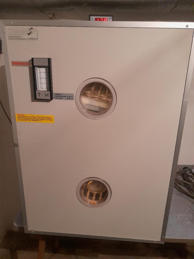 Broedmachine Fiem, Dieren en Toebehoren, Pluimvee | Toebehoren, Ophalen, Broedmachine