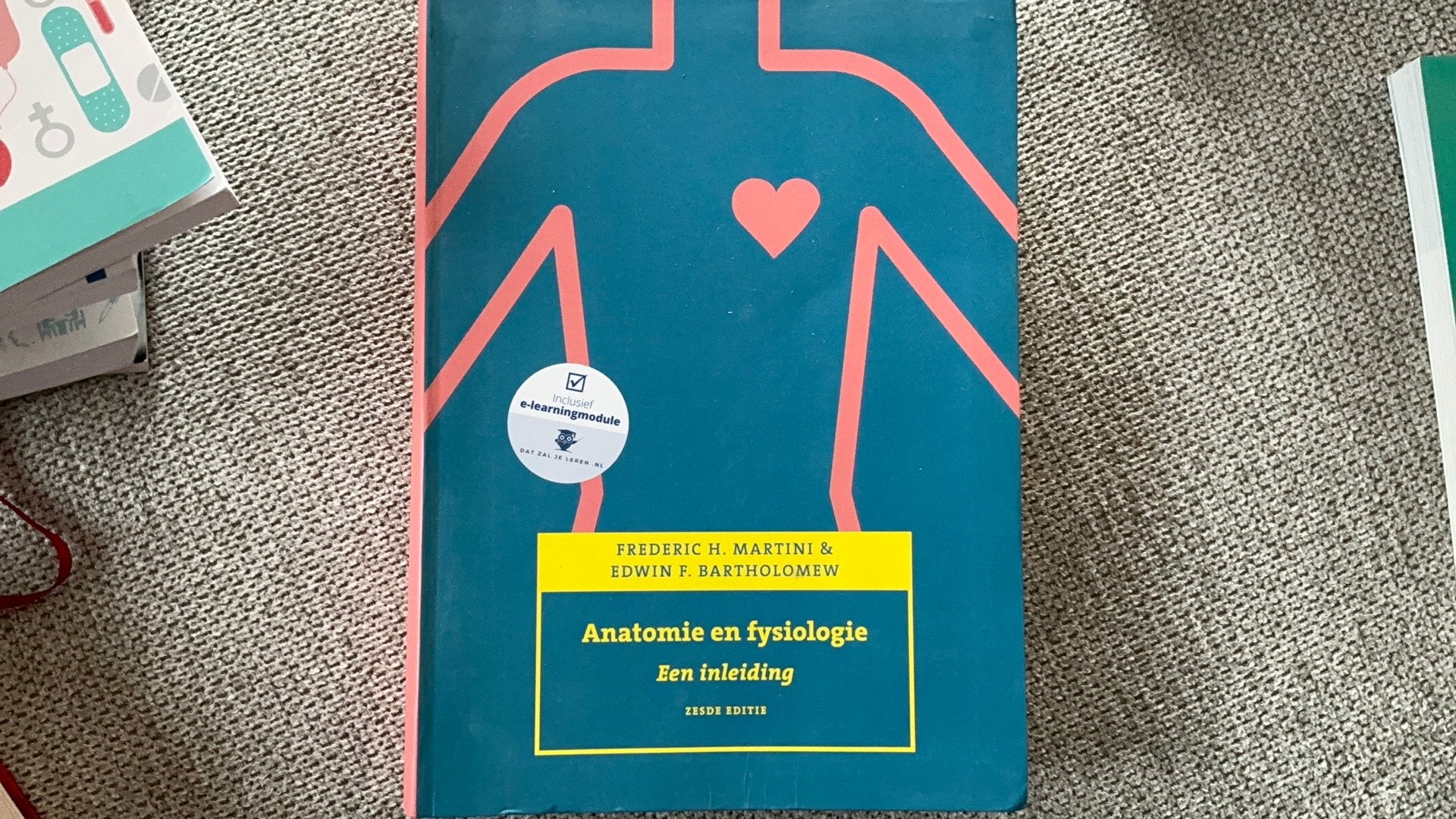 Edwin F. Bartholomew - Anatomie en fysiologie, een inleiding, Ophalen, Nederlands, Edwin F. Bartholomew; Frederic H. Martini
