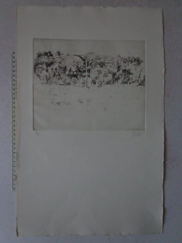 verfijnde ets van André Roelant "Boomrijk landschap" 1978, Antiquités & Art, Art | Eaux-fortes & Gravures, Eau-forte, Numéroté