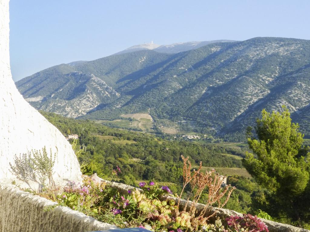 À vendre : Studio avec vue sur le Mont Ventoux, Immo, Étranger, France, Appartement, Campagne