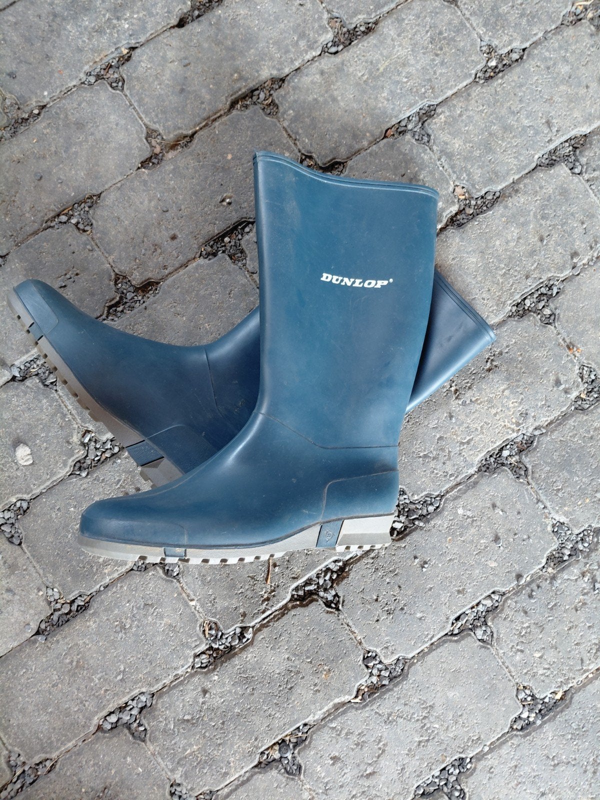 laarzen Dunlop maat 40, Tuin en Terras, Werkkleding, Ophalen, Laarzen