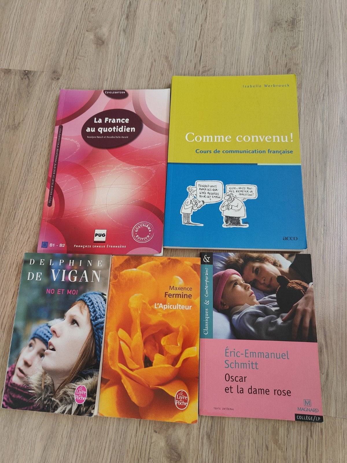 Livres de lecture et grammaire en français, Enlèvement, Comme neuf