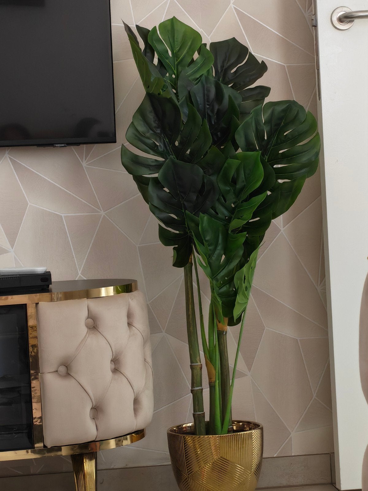 Grote Plant van Terluxi TLM, Ophalen