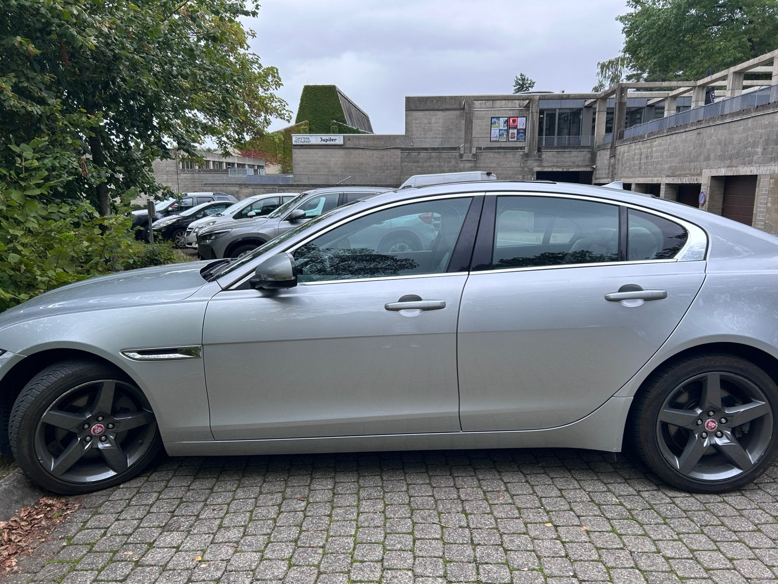 Jaguar XE Portofolio, gri argent, sieges cuir gri clair,, Cuir, Argent ou Gris, 1700 kg, Carnet d'entretien