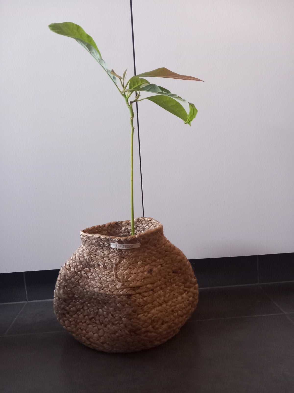 Huizedop - mand / vaas - handgemaakt -> 5€, Ophalen, Mand, Rond, Nieuw