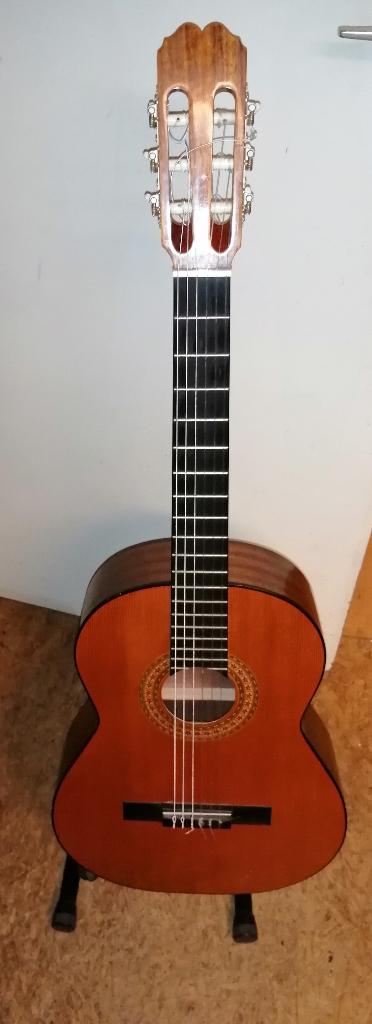 Klassieke gitaar, nylon besnaard + koffer, Muziek en Instrumenten, Ophalen, Gebruikt, Klassieke of Spaanse gitaar, Met koffer