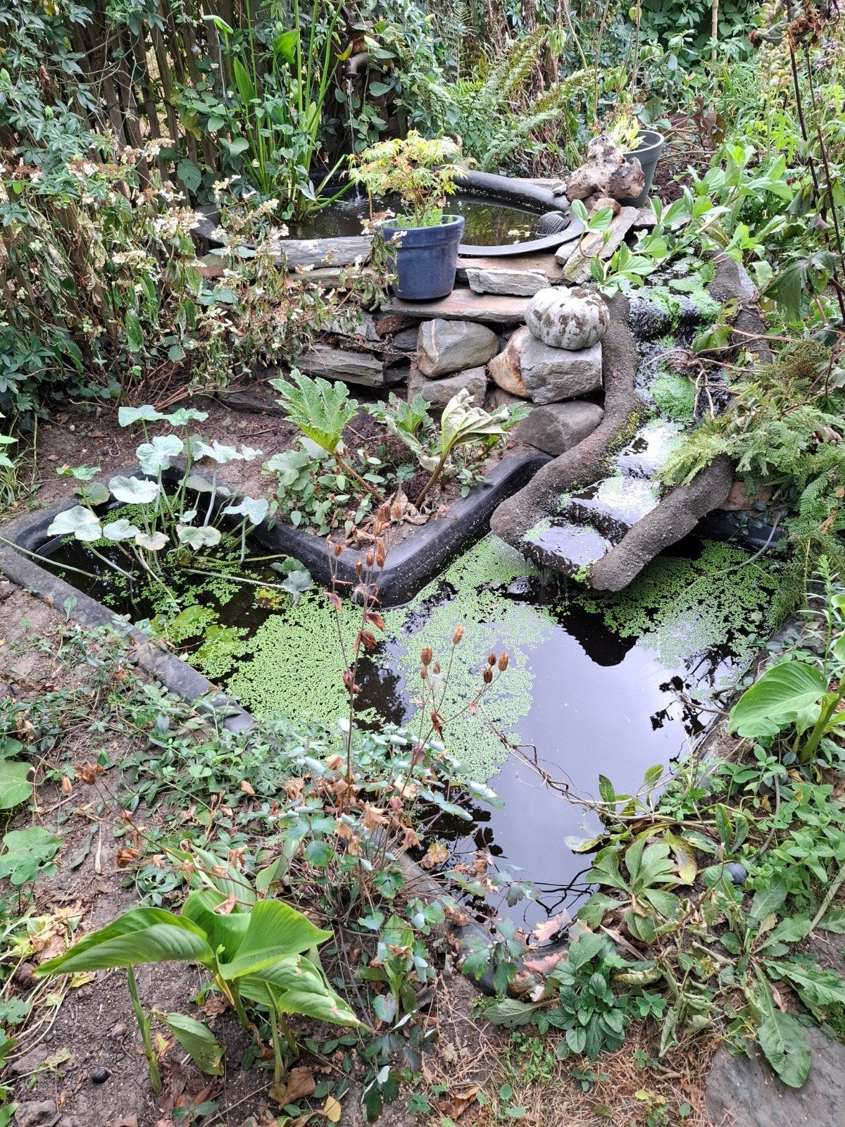 Vijvertjes met waterval., Tuin en Terras, Ophalen