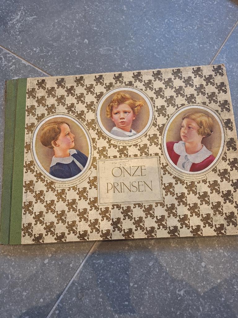Plakboek onze prinsen, Ophalen, Gelezen