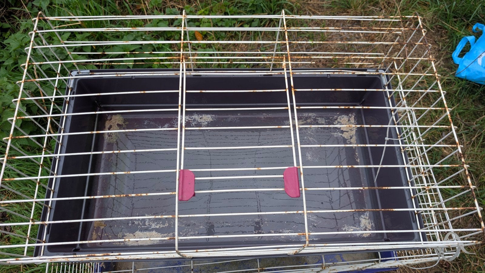 cage pour lapin, Enlèvement, Cage, Lapin