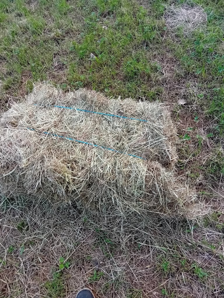 Kleine baaltjes hooi, Zakelijke goederen, Ophalen