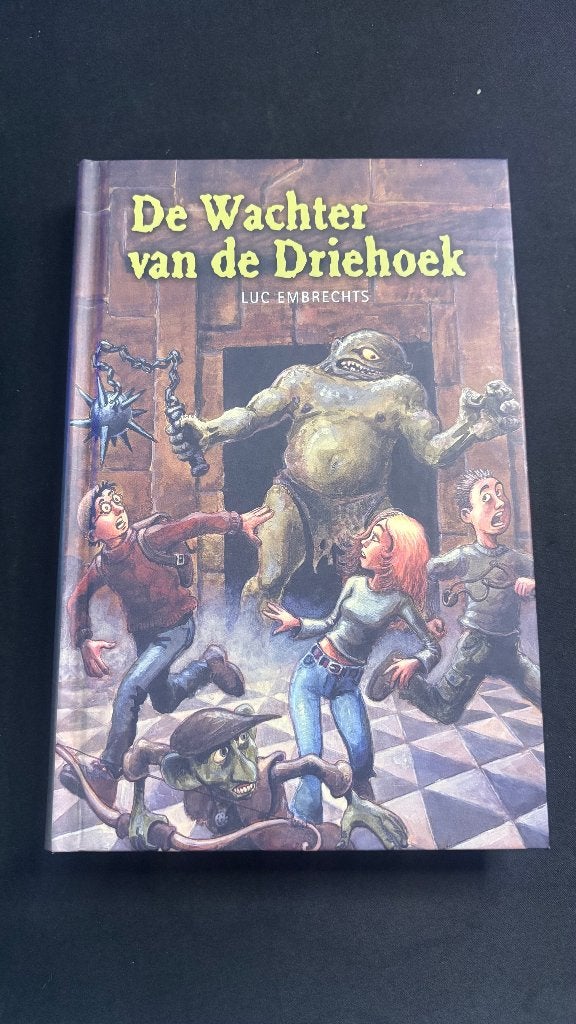 De Wachter van de Driehoek | Luc Embrechts | hardcover NL, Boeken, Ophalen of Verzenden, Zo goed als nieuw, Luc Embrechts