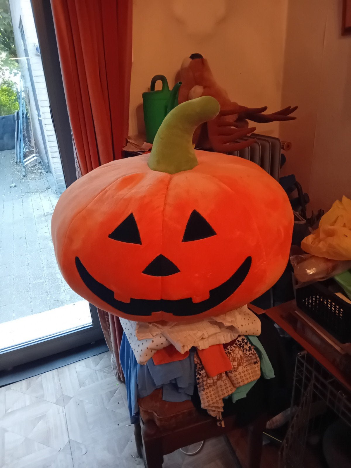 Grote pluchen pompoen, Ophalen