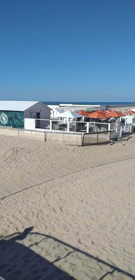 Congé de bord de mer disponible pour le moment., Vacances, Vacances | Offres & Last minute, Propriétaire