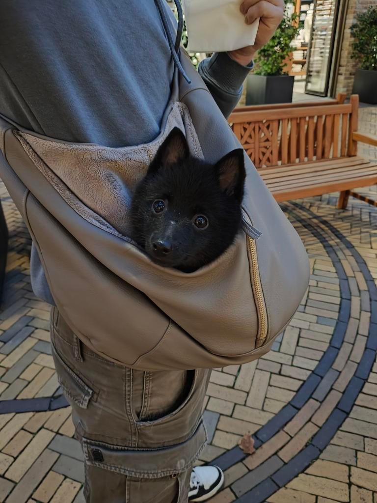 Puppy tas perfecte staat 150€,made in België,, Ophalen