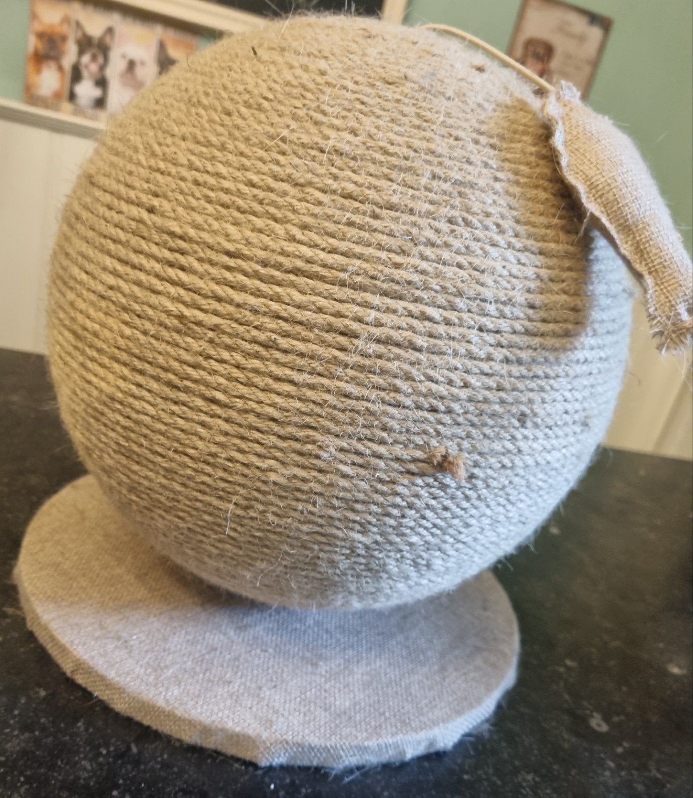 krab bol 25cm, Dieren en Toebehoren, Ophalen, Zo goed als nieuw