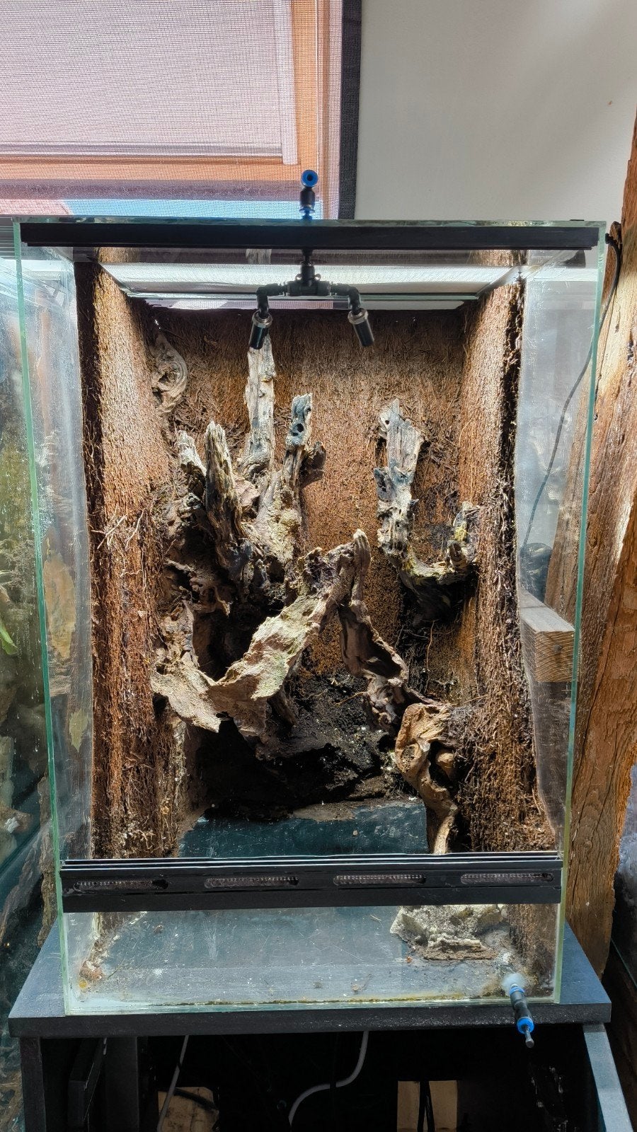 Terrarium 40 x 40 x 60, Dieren en Toebehoren, Ophalen