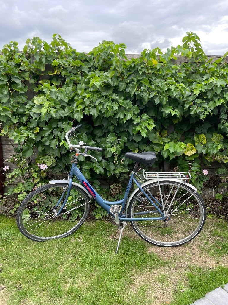 Damesfiets, Fietsen en Brommers, Ophalen, Gebruikt, Overige merken
