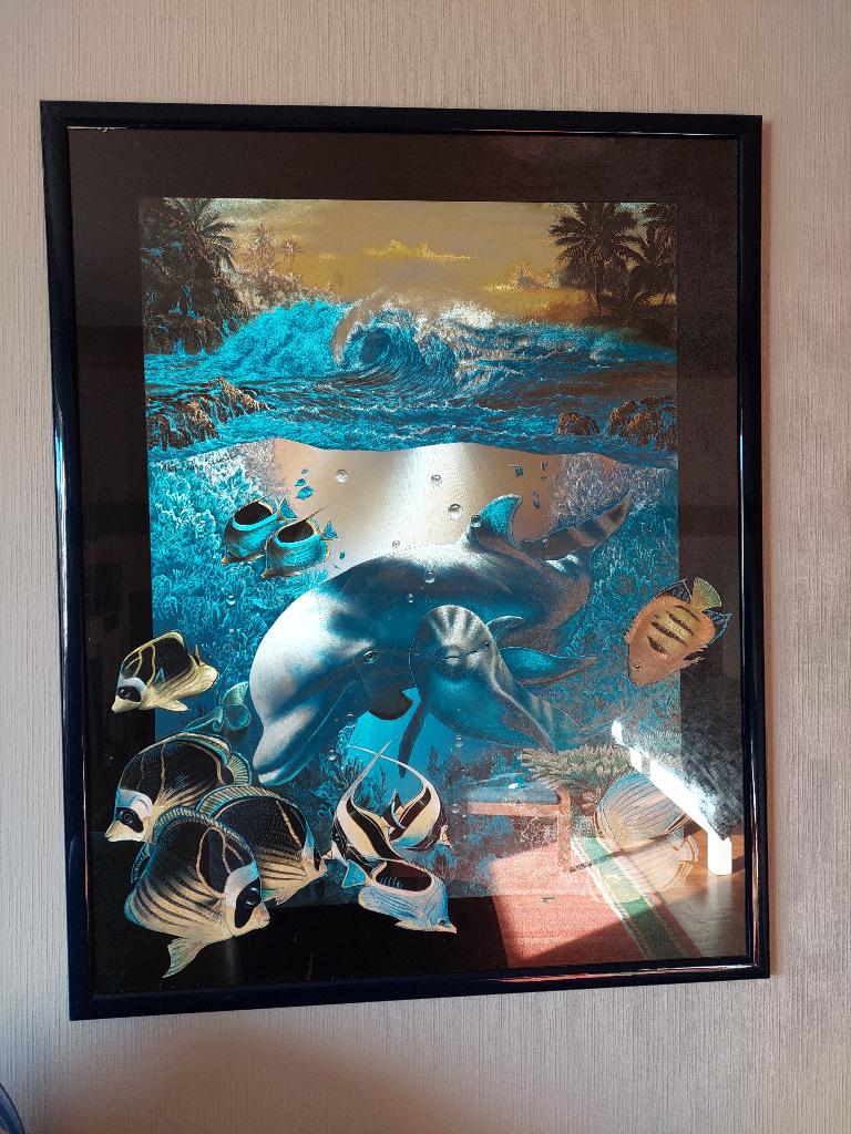 cadre 64x80 cm, dauphin + poissons fluo derrière verre, Botanique, Multicolore, Enlèvement, Verre