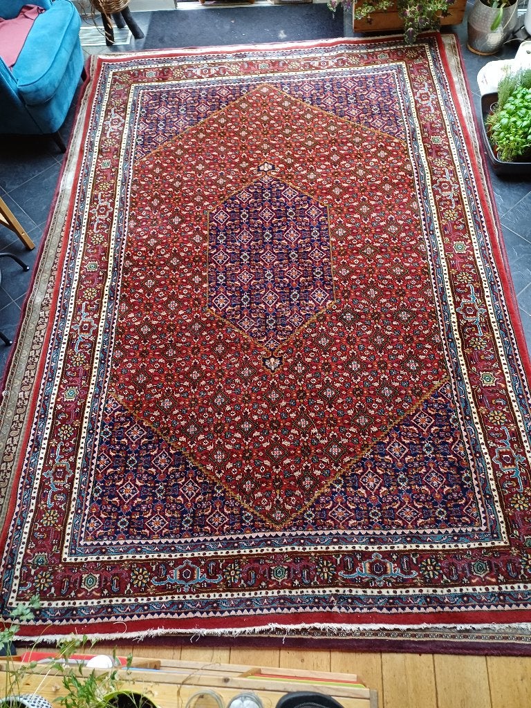 Tapijt, 200 cm ou plus, Bleu, Enlèvement, Utilisé