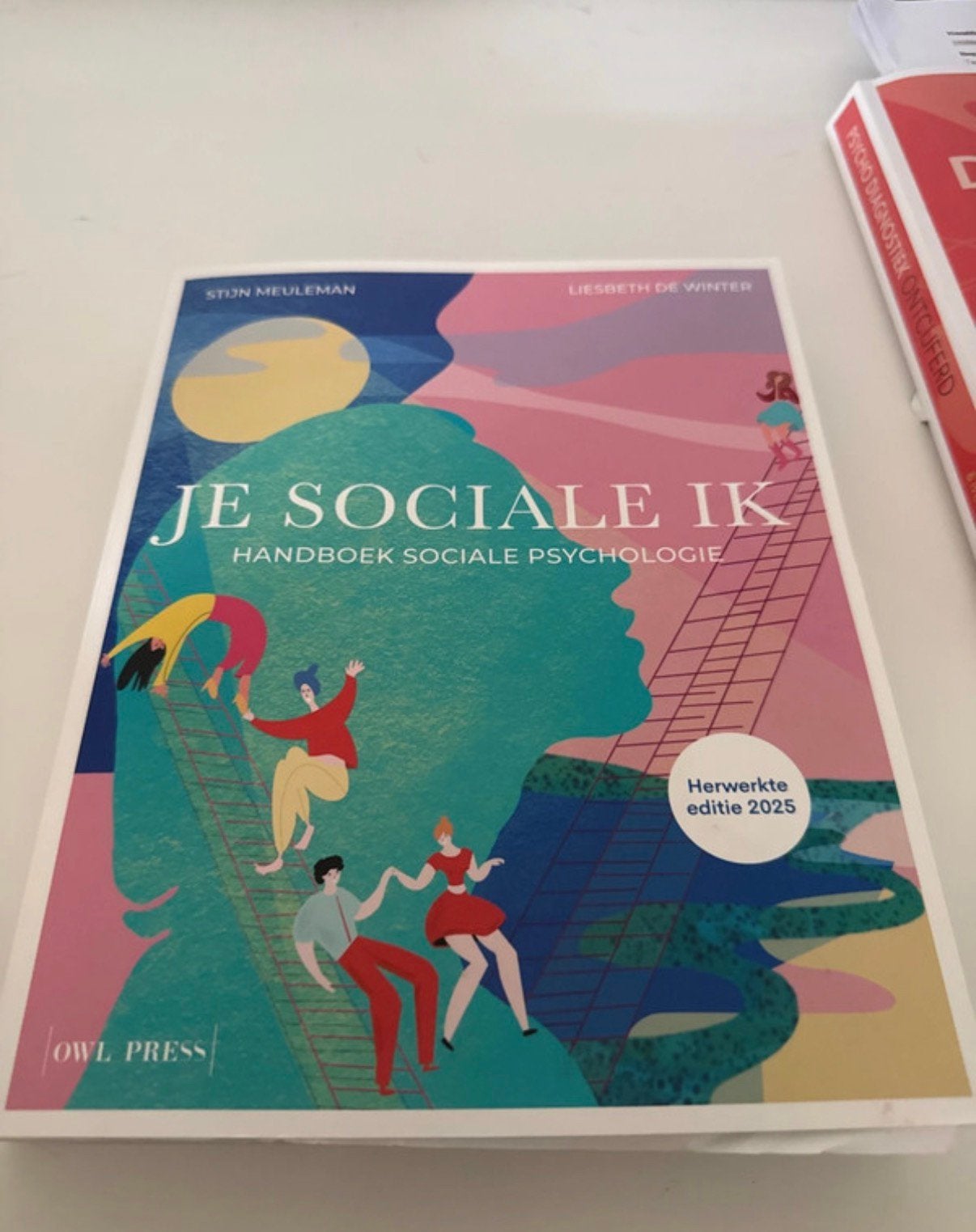 Stijn Meuleman - Je sociale ik, Livres, Psychologie, Enlèvement, Psychologie sociale, Stijn Meuleman; Liesbeth De Winter