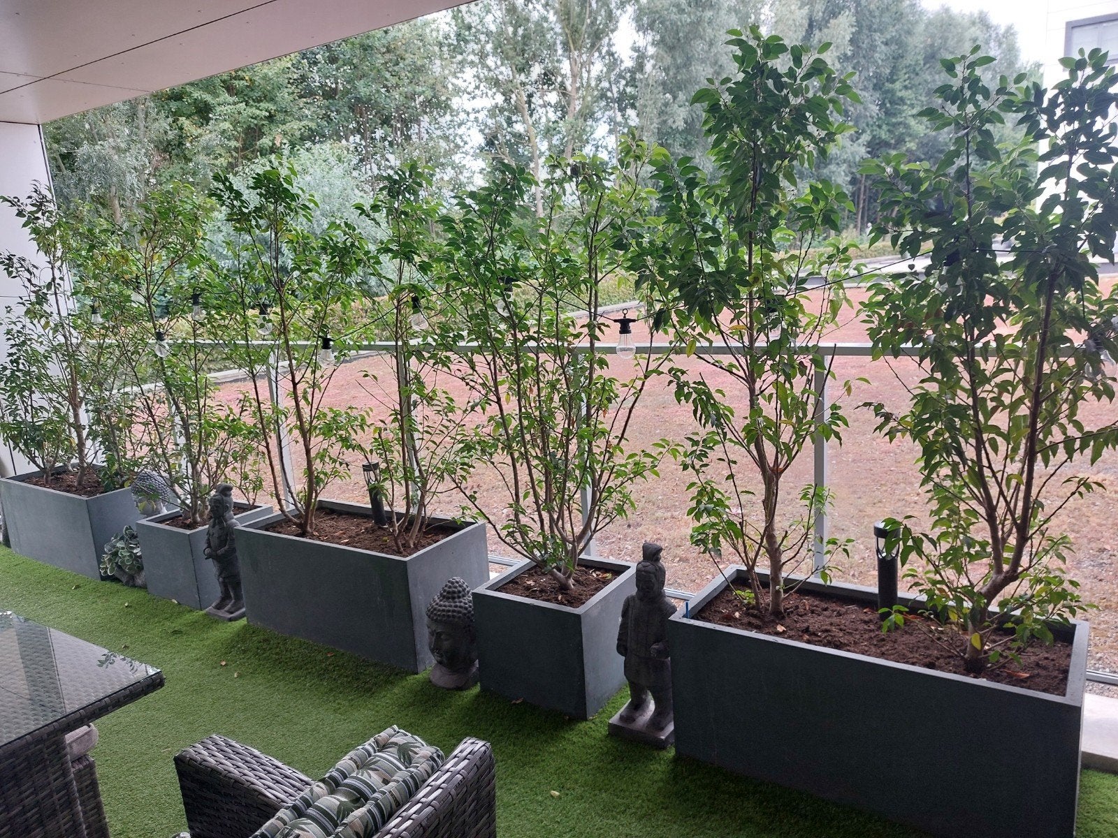 plantenbak met planten er bij, Tuin en Terras, Ophalen