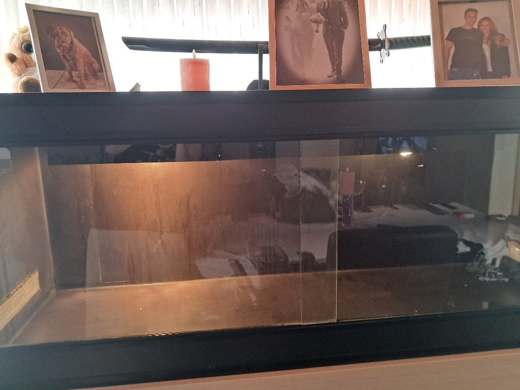 TERRARIUM, Animaux & Accessoires, Enlèvement, Utilisé