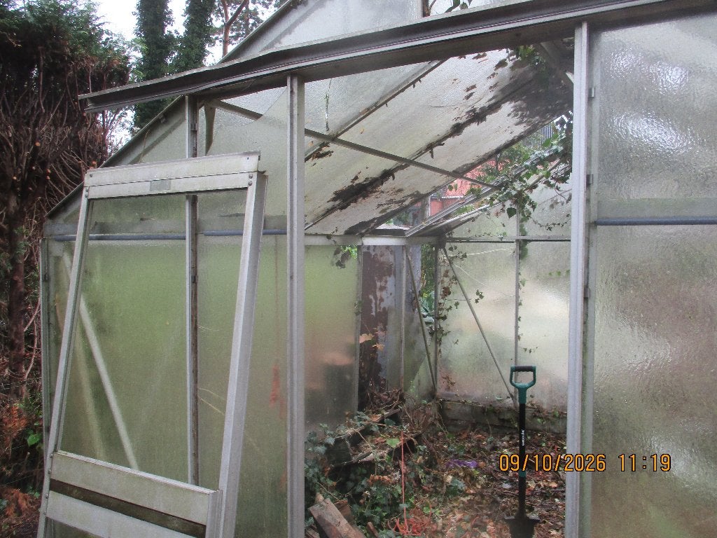 serre, Jardin & Terrasse, Verre, Serre, Enlèvement, Utilisé