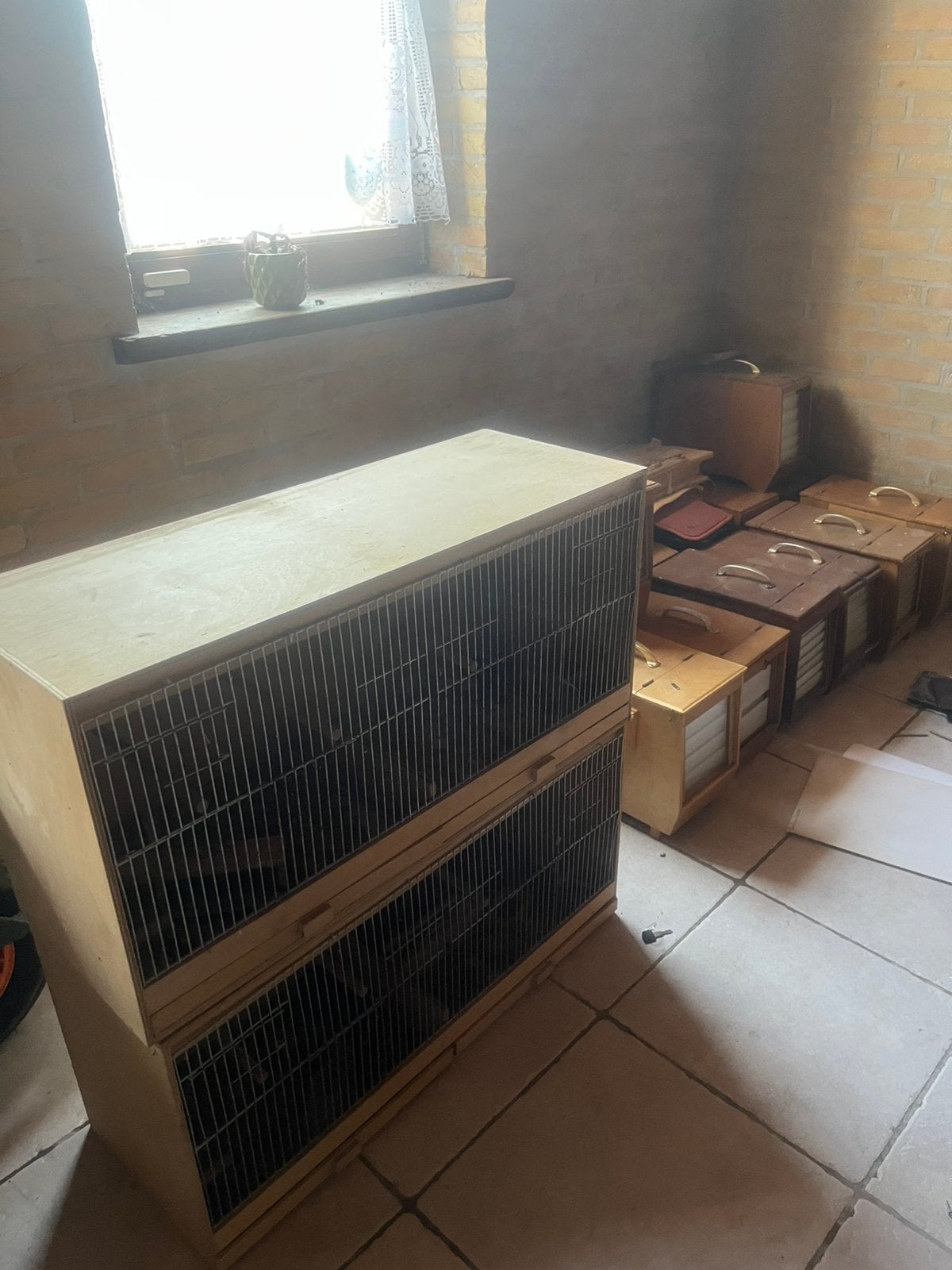 Botvink muiten, Enlèvement, Utilisé