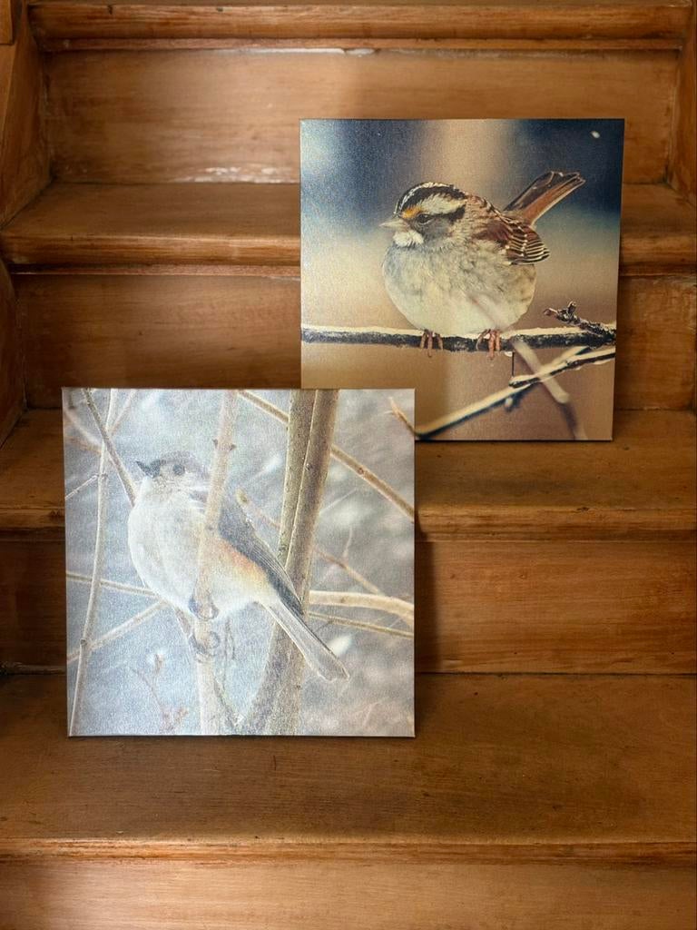 2 canvassen met vogel., Ophalen, Zo goed als nieuw