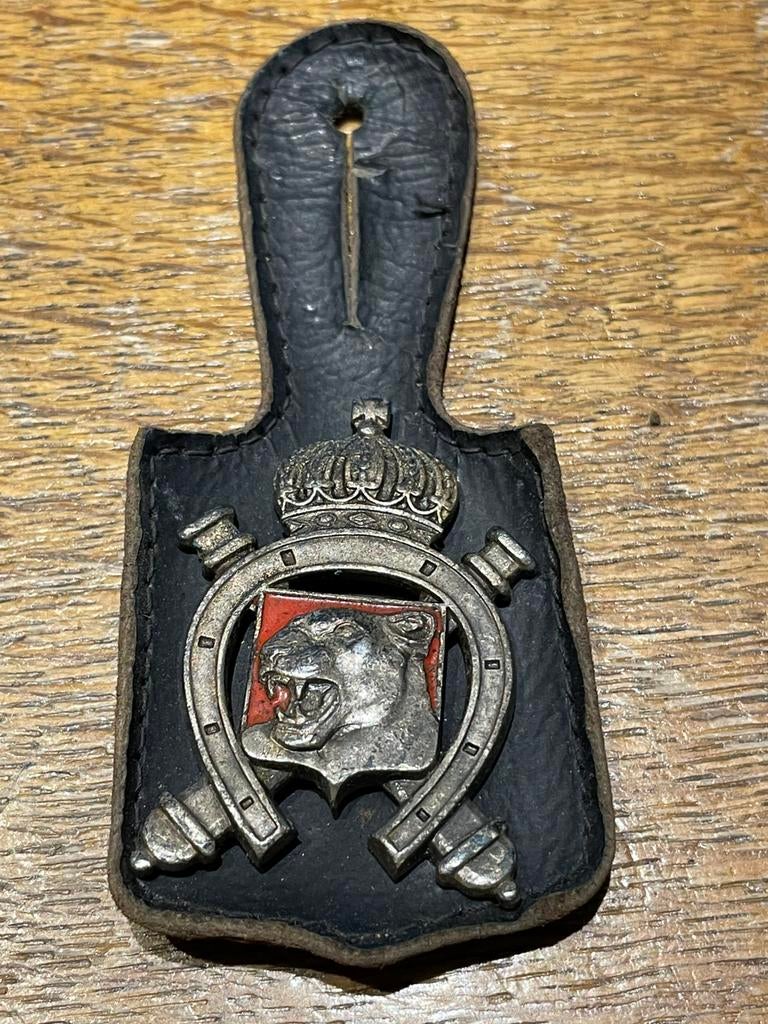Borsthanger 20e Regiment Artillerie, Verzamelen, Militaria | Algemeen, Verzenden, Landmacht, Embleem of Badge