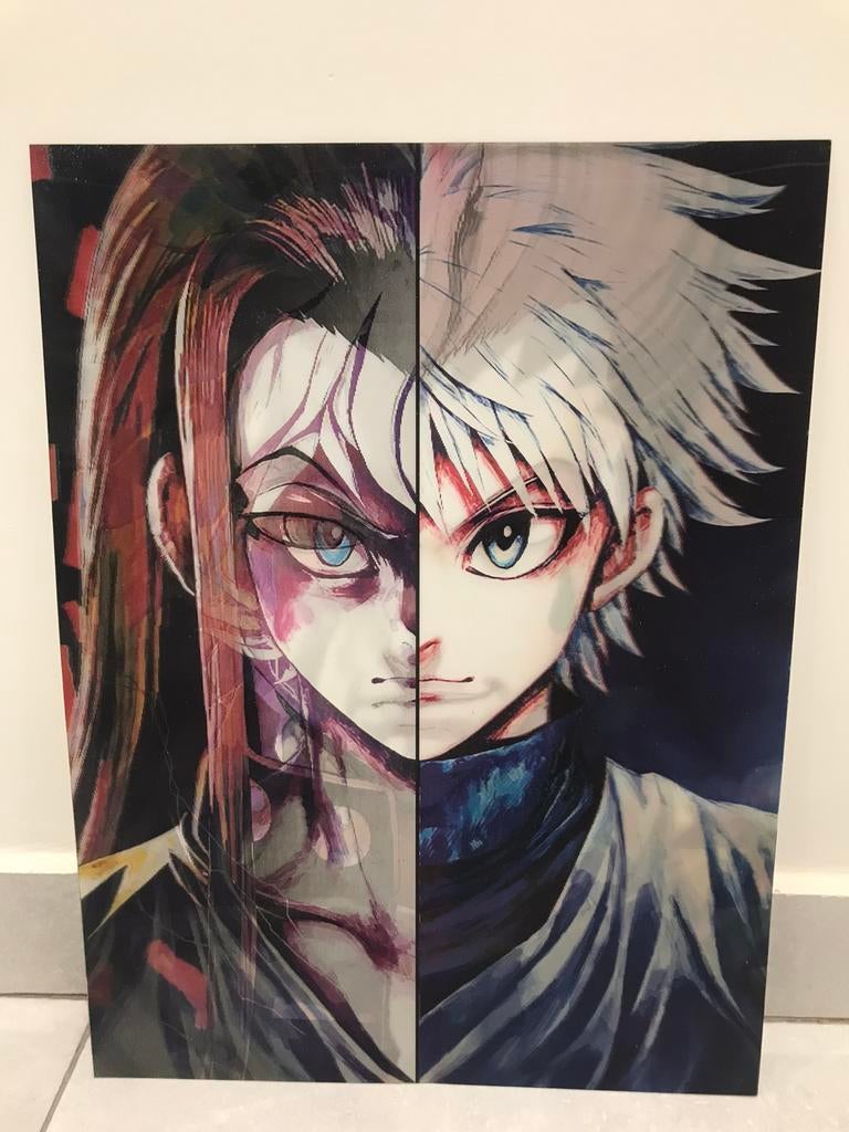 Hunter X Hunter 3D poster, Rechthoekig Staand, Ophalen of Verzenden, Zo goed als nieuw, A1 t/m A3