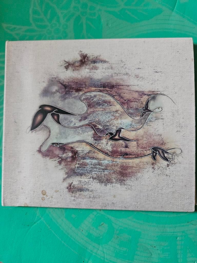 Junius Meyvant, floating harmonies, Ophalen of Verzenden, Zo goed als nieuw