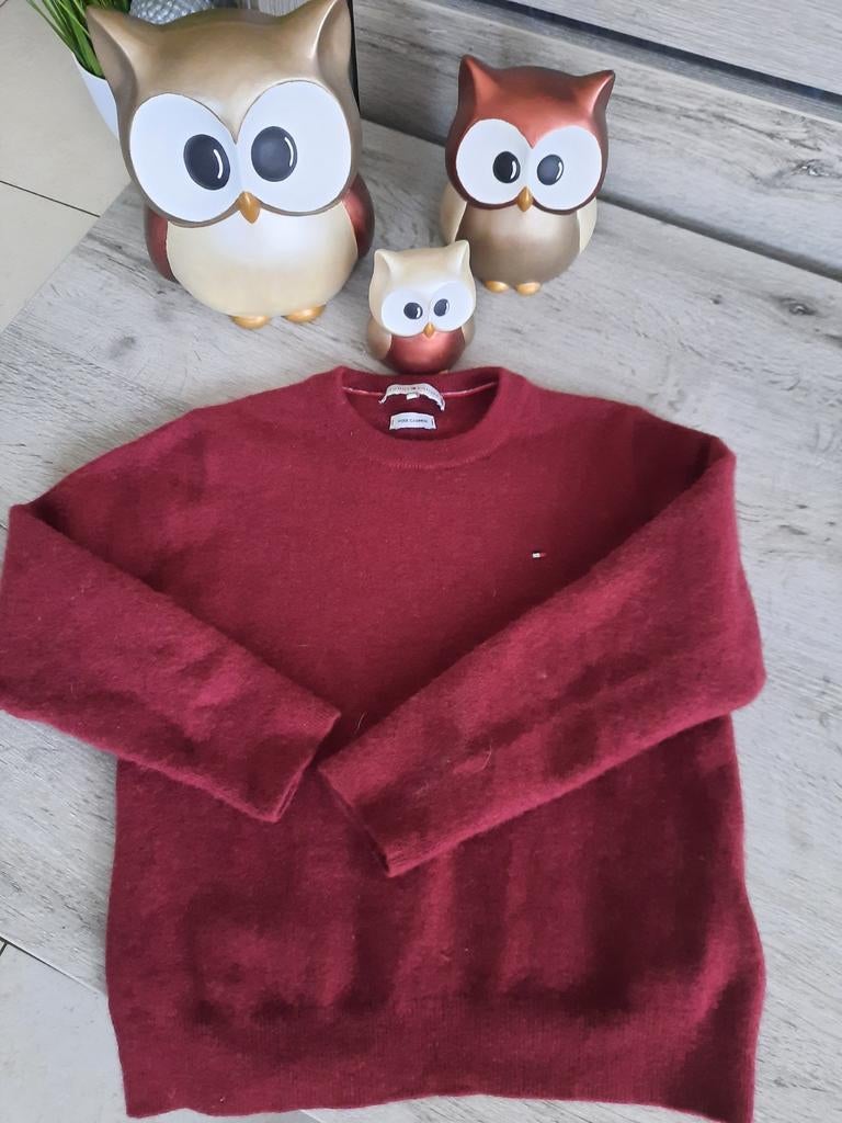 Pull Tommy Hilfiger taille XS, Enlèvement ou Envoi, Taille 34 (XS) ou plus petite
