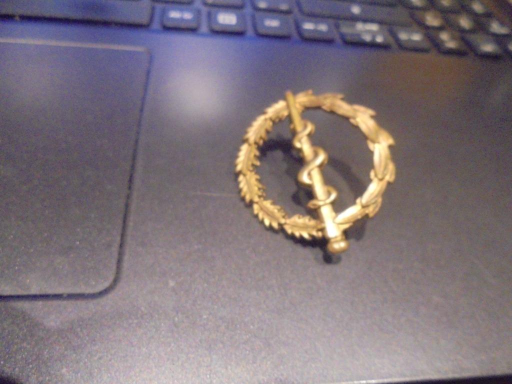 Duitse medische dienst, Enlèvement ou Envoi, Armée de terre, Emblème ou Badge