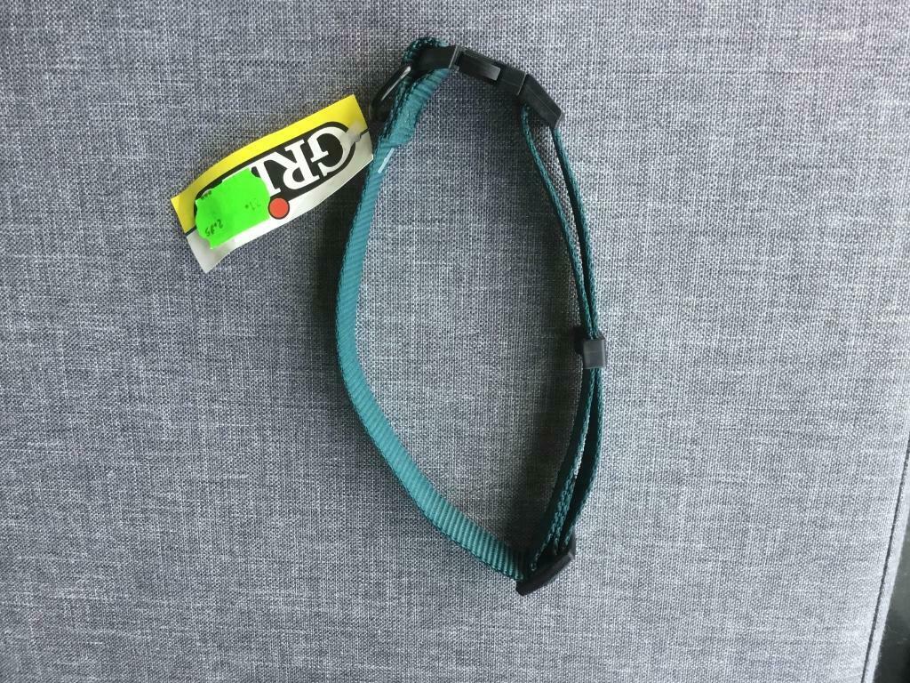 Nieuwe Nylon honden halsband, Ophalen of Verzenden, Nieuw