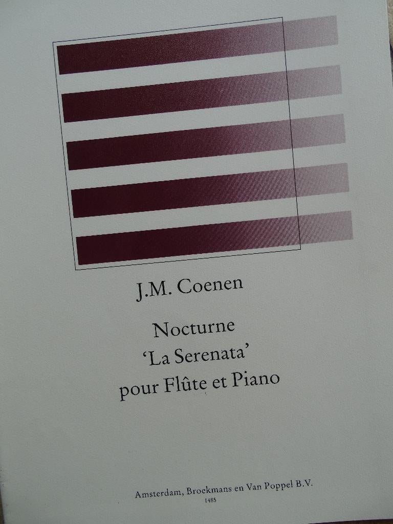 Bladmuziek fluit. blokfluit, hobo, viool en piano 11 boeken, Musique & Instruments, Partitions, Comme neuf, Autres genres, Classique