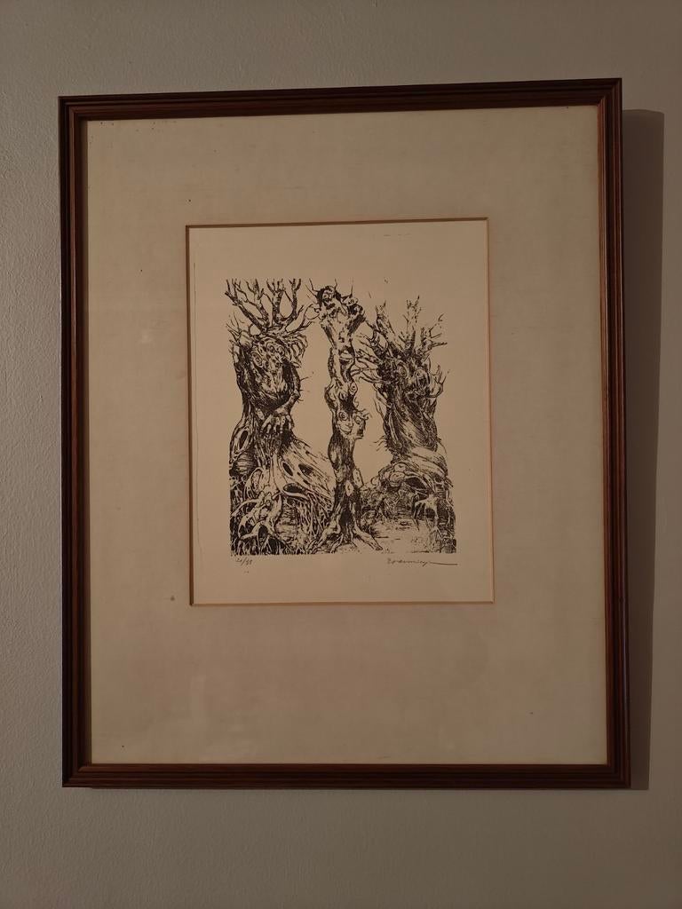 Gravure numérotée d'Edward Van Mieghem, Antiquités & Art, Enlèvement