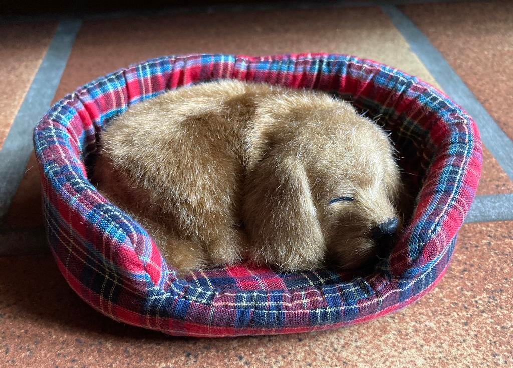 Slapend hondje in mandje,net echt 14/10 cm., Ophalen of Verzenden, Zo goed als nieuw, Hond