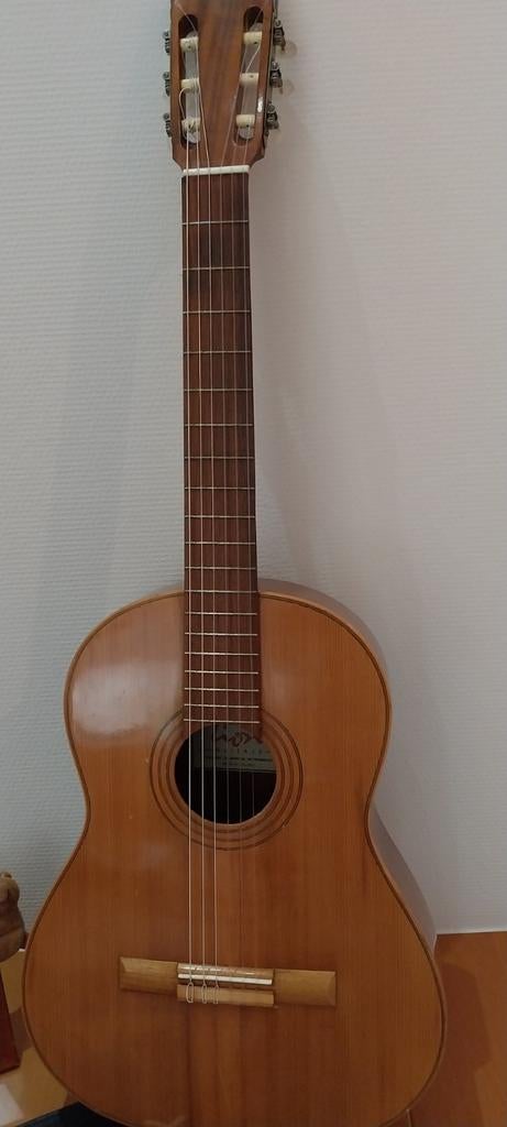 klassieke gitaar merk Lion, Muziek en Instrumenten, Ophalen, Gebruikt, Klassieke of Spaanse gitaar, Met koffer